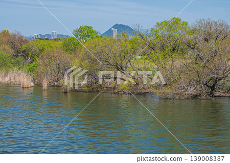 草津市琵琶湖岸邊景色 草津市琵琶湖岸邊景色 139008387