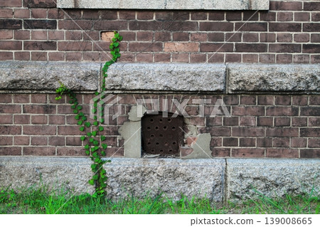 Brick wall and ivy Brick wall and ivy 139008665