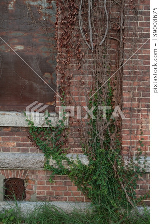 Brick wall and ivy Brick wall and ivy 139008675