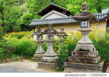 Matsuo Taisha Shrine where Yamabuki blooms Matsuo Taisha Shrine where Yamabuki blooms 139008816