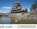 National Treasure Matsumoto Castle and cranes floating on its moat 139008826