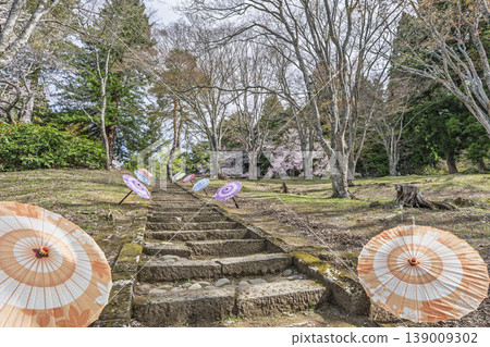 春日土津神社：通往神社的道路和櫻花，福島縣豬苗代町 139009302