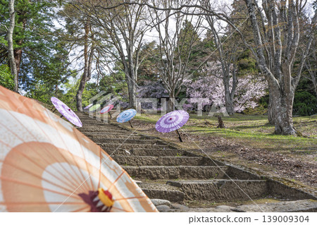 春日土津神社:通往神社的道路和櫻花,福島縣豬苗代町 春日土津神社:通往神社的道路和櫻花,福島縣豬苗代町 139009304