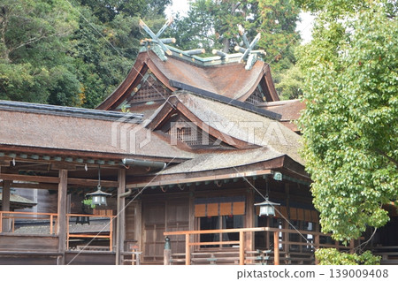 琴平神社（香川縣中多戶郡琴平町）的“南走廊”、“直入區域”和“正殿” 139009408