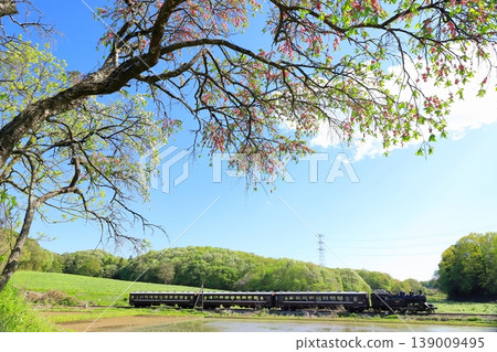 Mooka Railway's "SL Mooka train running through a landscape of fresh greenery" 139009495