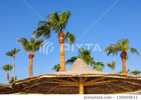 A straw beach umbrella and palm trees sway in the wind 139009631