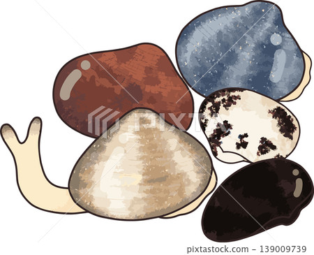 Clam digging illustration material: Clams, cockles, and various other shellfish, colorful, hand-drawn style, white background Clam digging illustration material: Clams, cockles, and various other shellfish, colorful, hand-drawn style, white background 139009739