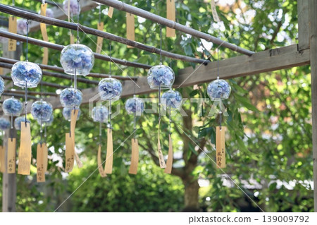 一幅充滿夏日氣息的日本景象，風鈴裡掛著繡球花，在微風中搖曳。 139009792
