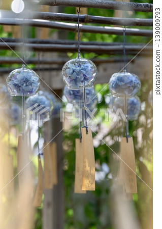 一幅充滿夏日氣息的日本景象，風鈴裡掛著繡球花，在微風中搖曳。 139009793