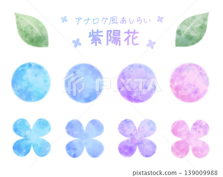 Analog-style embellishments (hydrangeas) 139009988