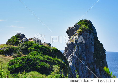 Saru-iwa (Monkey Rock) and grassy coastal scenery of Iki Island 139010113