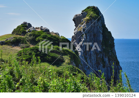 Saru-iwa (Monkey Rock), a famous landmark on Iki Island in Nagasaki Prefecture. 139010124