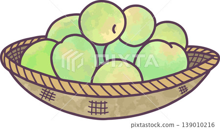 Illustration of a large pile of green plums in a bamboo basket; watercolor style, hand-drawn style; plum season, early summer; white background. Illustration of a large pile of green plums in a bamboo basket; watercolor style, hand-drawn style; plum season, early summer; white background. 139010216