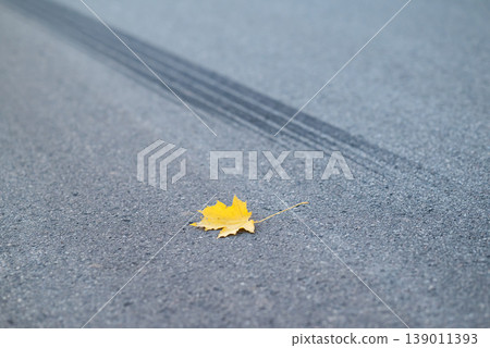 Emergency braking, tire track on the asphalt, close up. One yellow leaf on the road as symbol of often happened car accidents in autumn Emergency braking, tire track on the asphalt, close up. One yellow leaf on the road as symbol of often happened car accidents in autumn 139011393