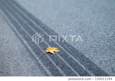 Yellow maple leaf on asphalt and the tire track after emergency braking, close up. Symbol of often car accidents in autumn, because of bad weather and visibility on roads 139011394