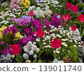Colorful tulips and wildflowers blooming in a spring flowerbed 139011740