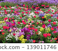 Red tulips and colorful flower fields spread across the spring garden. 139011746