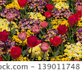 A spring flowerbed with red and pink tulips in bloom. 139011748