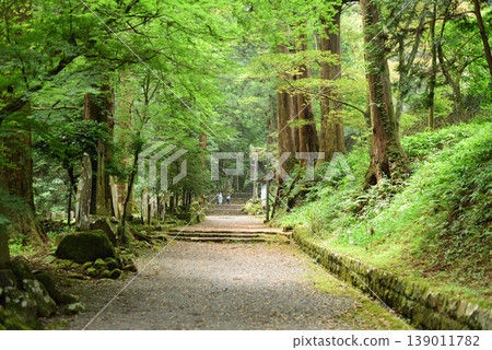 大雄山西成寺參道 139011782