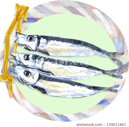 乾沙丁魚（mezashi）插圖 139011861
