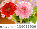 Red and pink gerberas 139011909