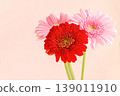 Red and pink gerberas 139011910
