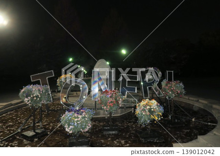 夜幕降臨,燈光亮起之前,Toneri Park 的入口處。 夜幕降臨,燈光亮起之前,Toneri Park 的入口處。 139012042
