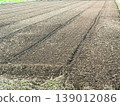 Cultivated field 139012086
