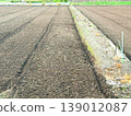 Cultivated field 139012087