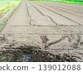 Cultivated field 139012088