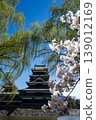 A landscape featuring Matsumoto Castle, cherry blossoms, and weeping willows. 139012169