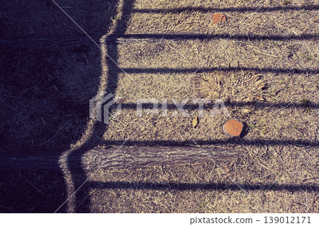 The shadow of the fence cast on the ground The shadow of the fence cast on the ground 139012171