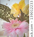 Pink Gerbera petals 139012233