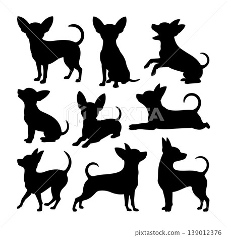 Multiple silhouettes of playful chihuahuas in various poses on a white background Multiple silhouettes of playful chihuahuas in various poses on a white background 139012376