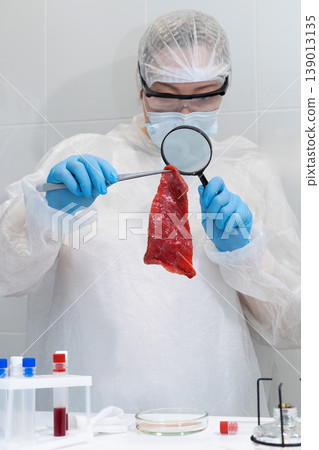 Woman scientist examining raw lab-grown meat sample with magnifying glass. Artificial protein cultivation in biotechnology research lab. Sustainable food innovation and future agriculture concept. 139013135
