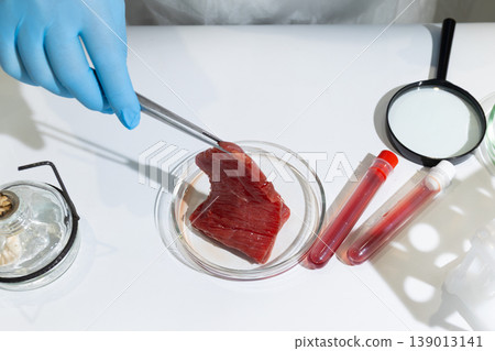 Scientist using tweezers to examine lab-grown meat in petri dish. In vitro cultivation of artificial steak in biotechnology lab. Future sustainable food production and hunger relief concept. Scientist using tweezers to examine lab-grown meat in petri dish. In vitro cultivation of artificial steak in biotechnology lab. Future sustainable food production and hunger relief concept. 139013141