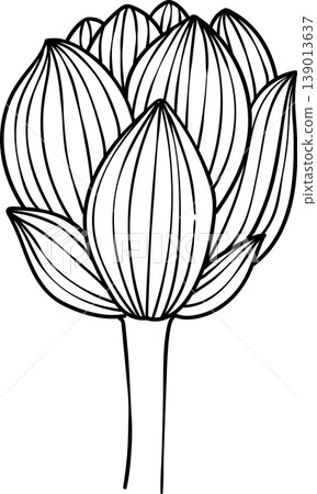Hand-drawn lotus flowers , black and white vector illustration in linear style, isolated on white background. 139013637