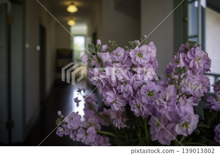 Wallflower Wallflower 139013802