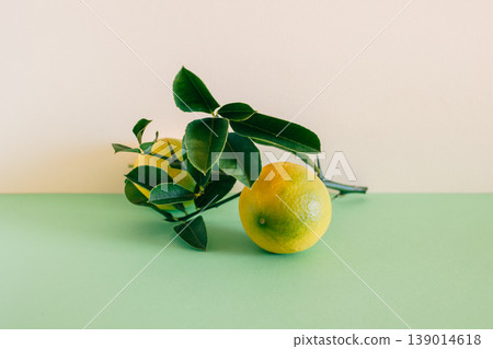 Beautiful branch with two yellow lemons on a green background. Minimal concept. Beautiful branch with two yellow lemons on a green background. Minimal concept. 139014618