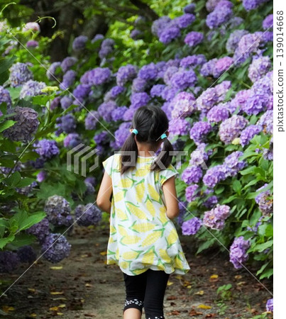 The back view of a girl running through a field of hydrangea flowers. 139014668