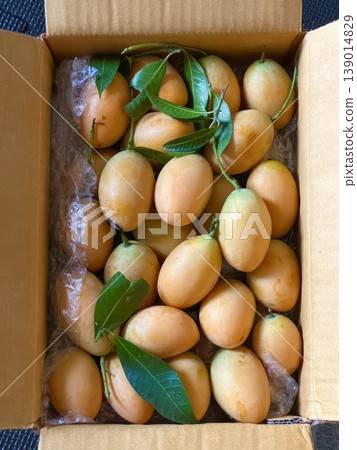 Fresh Ripe Mayongchid or Marian Plum Fruits in Cardboard Box for Delivery Fresh Ripe Mayongchid or Marian Plum Fruits in Cardboard Box for Delivery 139014829
