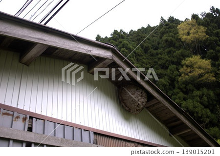屋簷下有一個巨大的蜂巢 139015201