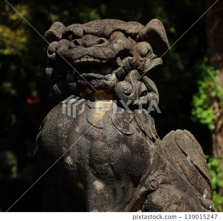 The expressive guardian lion-dog, A-form 139015247