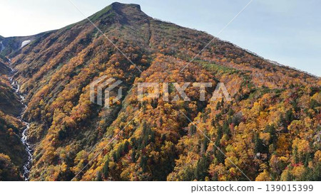 [Aerial view] The powerful form of Mt. Kurodake in the Daisetsuzan mountain range! A deep valley leading to the summit and a dynamic mountain slope dyed in autumn colors. 139015399
