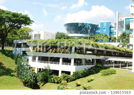 Beautiful Singapore Surroundings 139015563