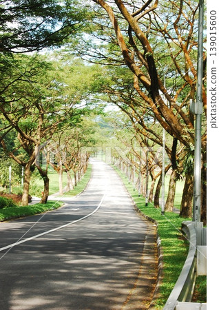 Beautiful Singapore Surroundings Beautiful Singapore Surroundings 139015600