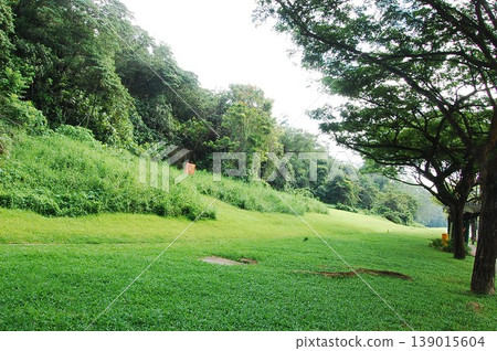 Beautiful Singapore Surroundings 139015604