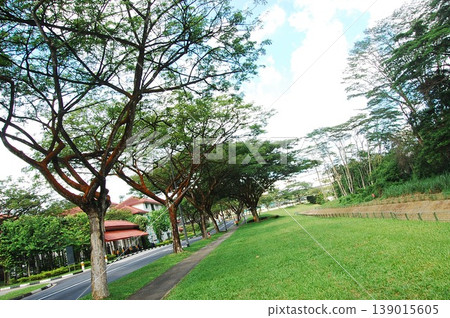 Beautiful Singapore Surroundings 139015605