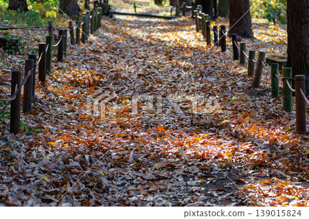 Autumn in the park colored like a brocade Autumn in the park colored like a brocade 139015824