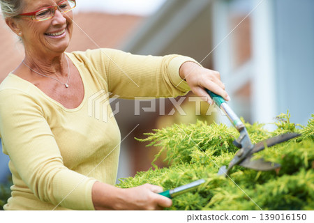 Senior, happy woman and outdoors with shears in garden by landscaping of nature, plant or greenery. Elderly person, wrinkles and glasses with smile for tool, trim and hedge in retirement with care 139016150
